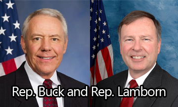 Buck-Lamborn