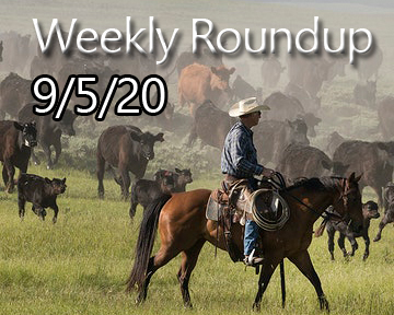 Weekly Roundup