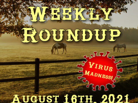 Weekly Roundup