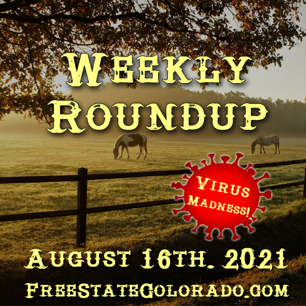 Weekly Roundup