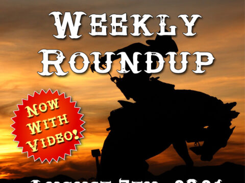 Weekly Roundup August 7